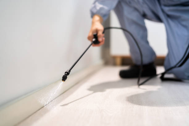 Bed Bug Pre-Treatment Preparation Assessment in Grove City