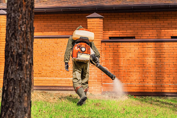 Bed Bug Clearance Verification and Documentation in Grove City